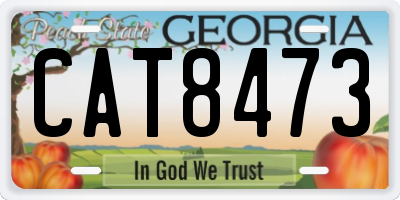 GA license plate CAT8473
