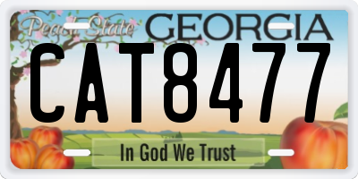 GA license plate CAT8477