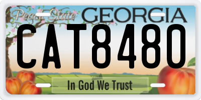 GA license plate CAT8480