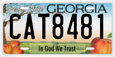 GA license plate CAT8481