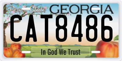 GA license plate CAT8486