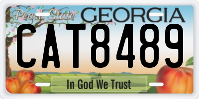 GA license plate CAT8489
