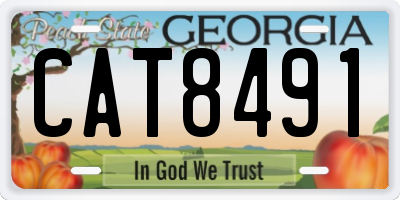 GA license plate CAT8491