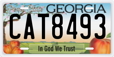 GA license plate CAT8493