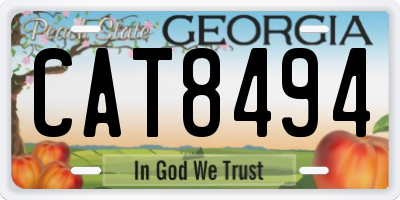 GA license plate CAT8494