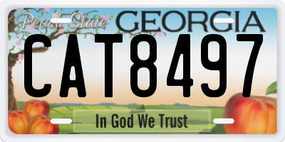 GA license plate CAT8497