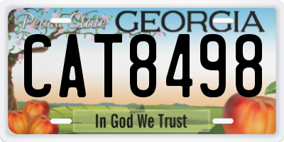 GA license plate CAT8498