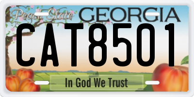 GA license plate CAT8501