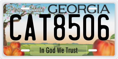 GA license plate CAT8506
