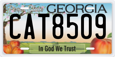 GA license plate CAT8509