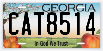 GA license plate CAT8514