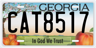 GA license plate CAT8517