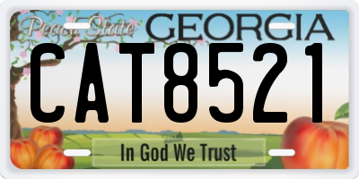 GA license plate CAT8521