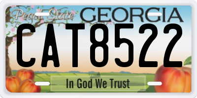 GA license plate CAT8522