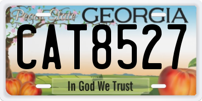 GA license plate CAT8527