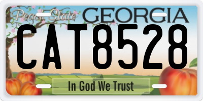 GA license plate CAT8528
