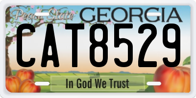 GA license plate CAT8529