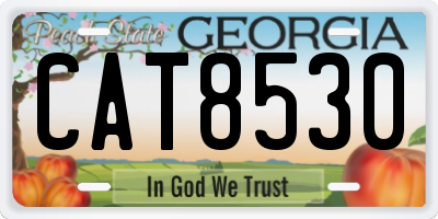 GA license plate CAT8530