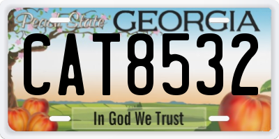 GA license plate CAT8532