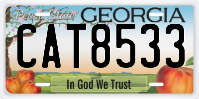 GA license plate CAT8533