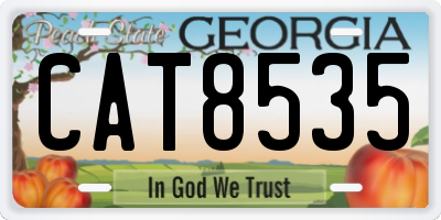 GA license plate CAT8535
