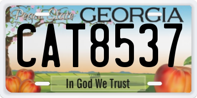 GA license plate CAT8537
