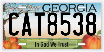GA license plate CAT8538
