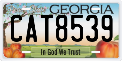 GA license plate CAT8539