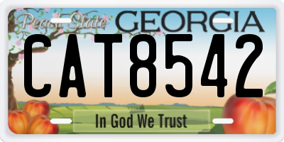 GA license plate CAT8542