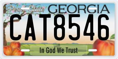 GA license plate CAT8546