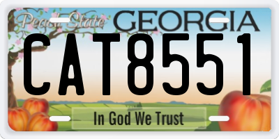 GA license plate CAT8551