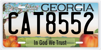 GA license plate CAT8552