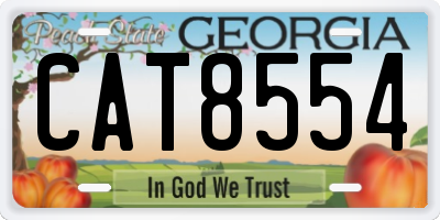 GA license plate CAT8554