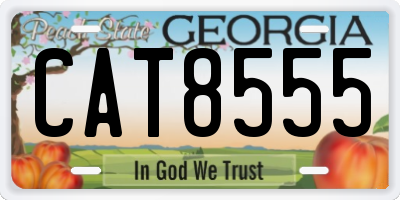 GA license plate CAT8555