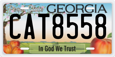 GA license plate CAT8558