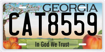GA license plate CAT8559