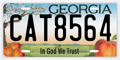 GA license plate CAT8564