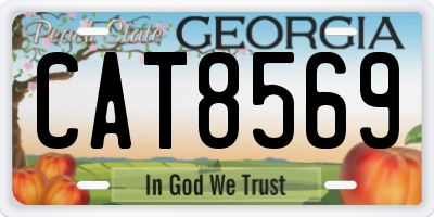 GA license plate CAT8569