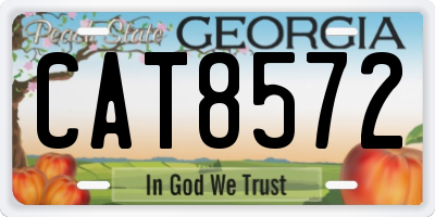 GA license plate CAT8572