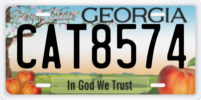 GA license plate CAT8574