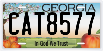 GA license plate CAT8577