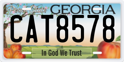 GA license plate CAT8578