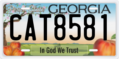 GA license plate CAT8581