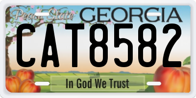 GA license plate CAT8582