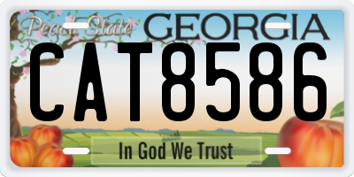 GA license plate CAT8586