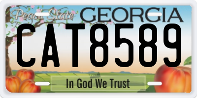 GA license plate CAT8589