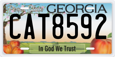 GA license plate CAT8592