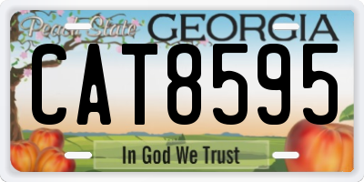 GA license plate CAT8595