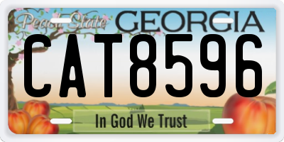 GA license plate CAT8596
