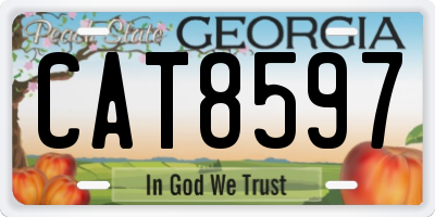 GA license plate CAT8597